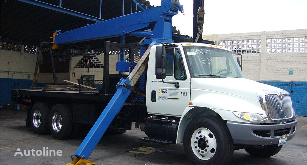 Grúa telescópica / hidráulica loader crane