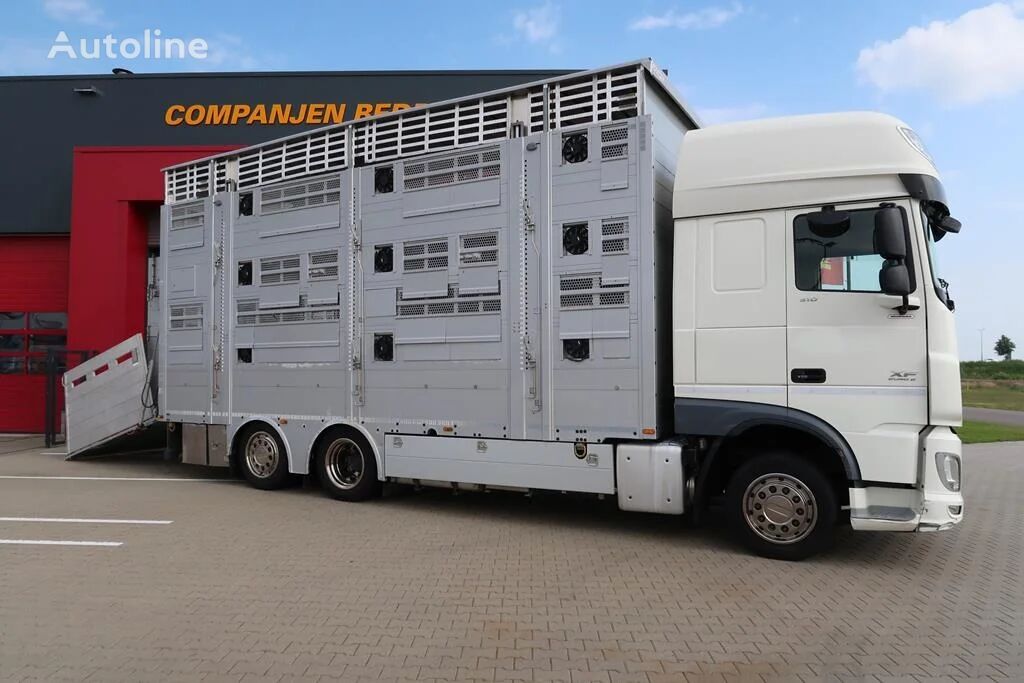 DAF XF 510 Super Space Cab livestock truck