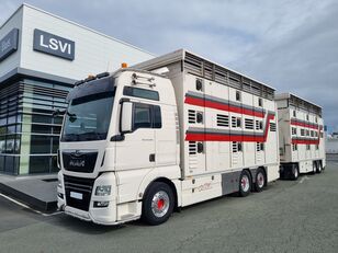 MAN TGX 26.500 2 étages bovins livestock truck + livestock trailer