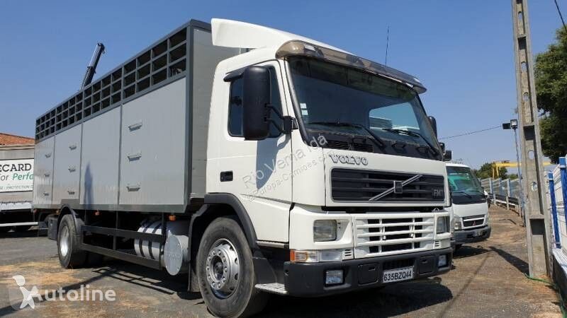 Volvo FM livestock truck
