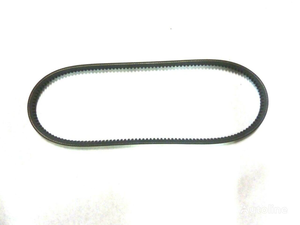 HUTCHINSON POLY V KEIL-RIPPEN-RIEMEN 504129827 timing belt for truck tractor